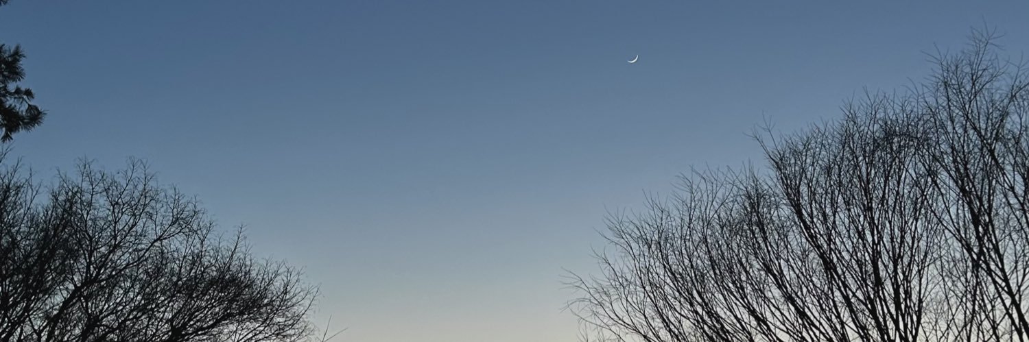 raooon_im's profile banner image