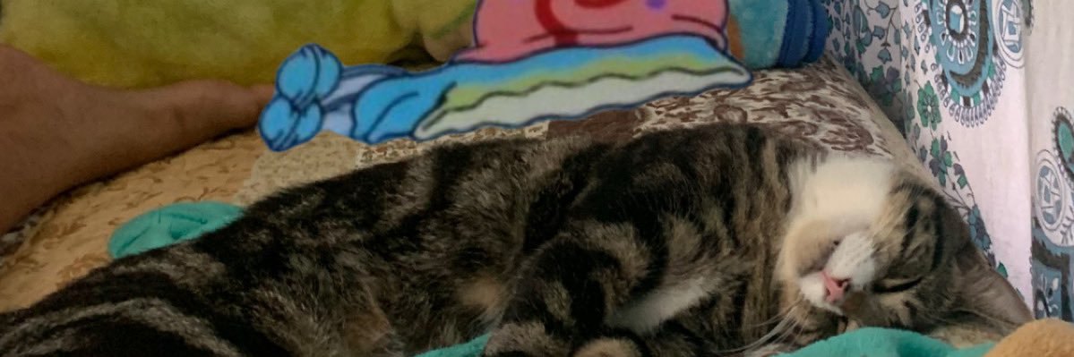 astro_gorl's profile banner image