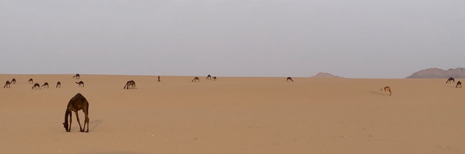 مـشعي ہن مفَرح banner