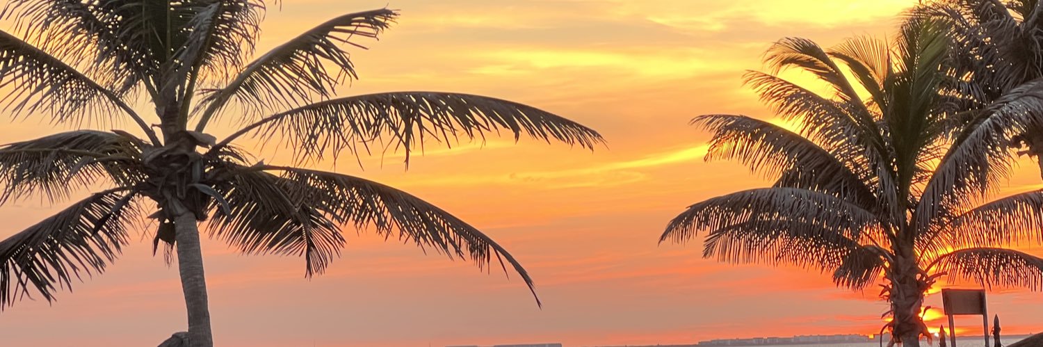 Allison Colón banner