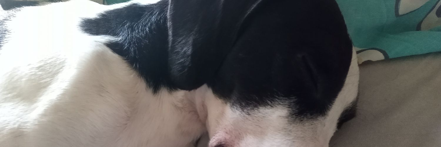 cenije22's profile banner image