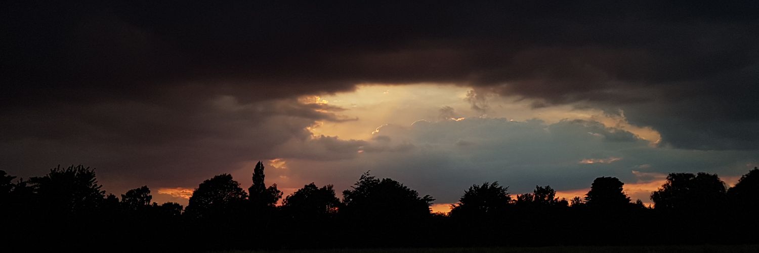 tomisaginger's profile banner image