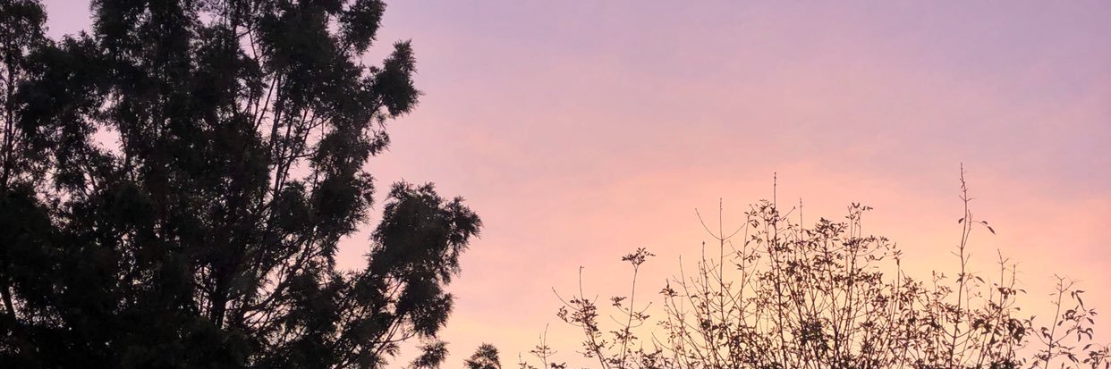 Cafeika's profile banner image