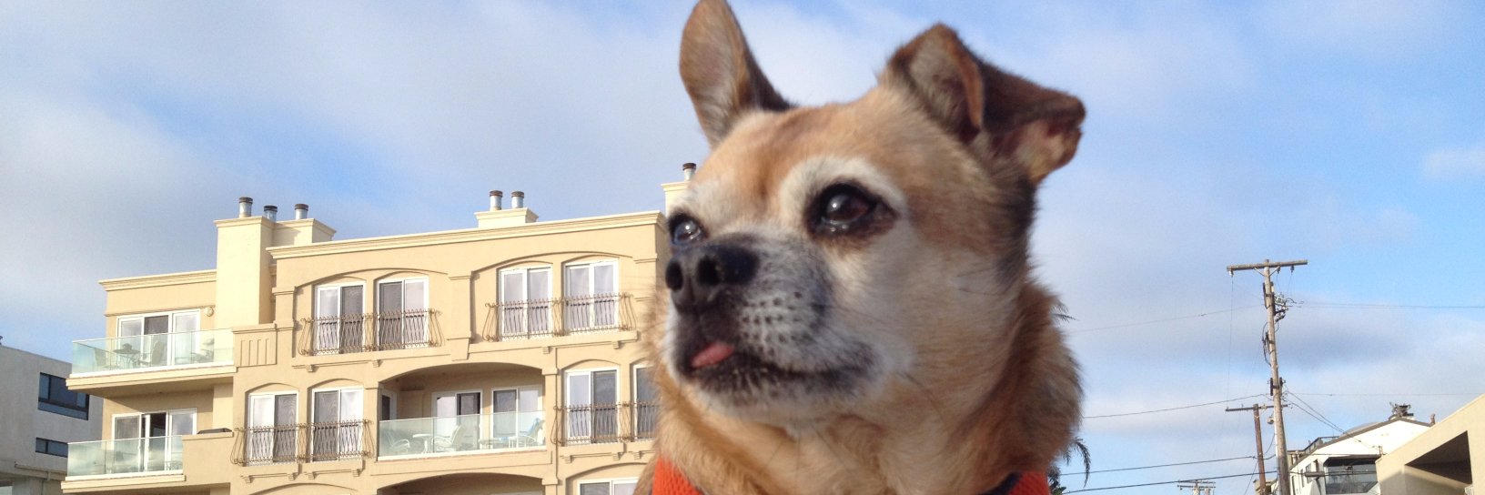 MikeyAppleBox's profile banner image