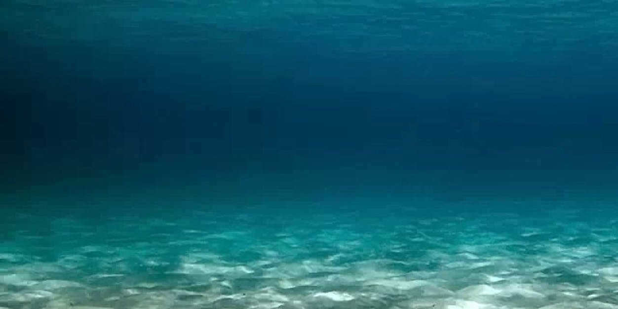 大屌控的bear（小号） banner