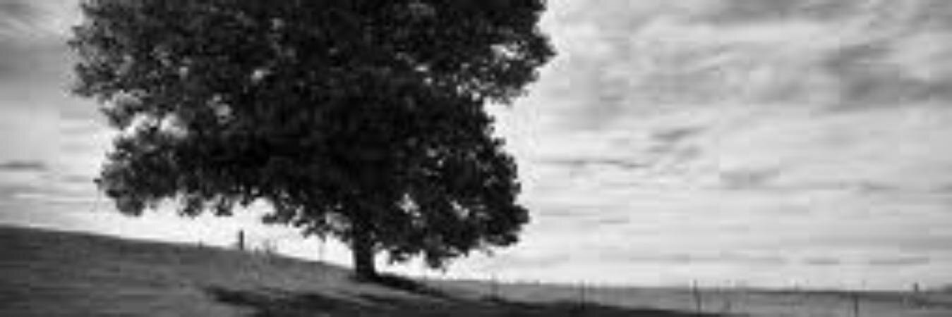 79Gven's profile banner image