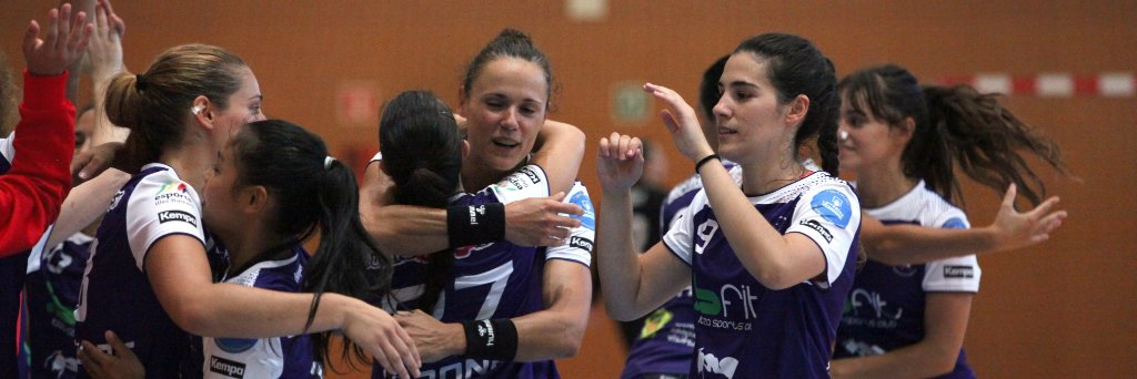 HC PUIG D'EN VALLS banner