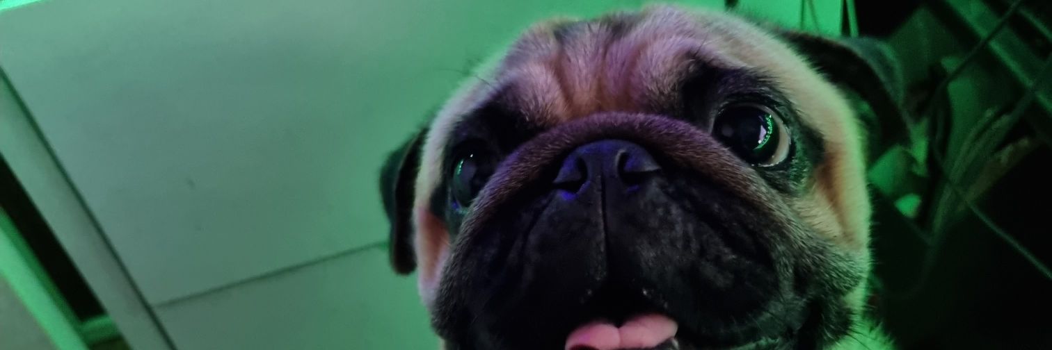 immcgil's profile banner image