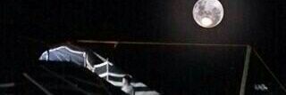 fofooo505's profile banner image