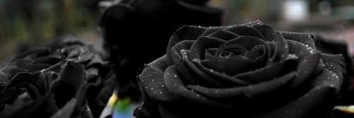 kidminaw's profile banner image