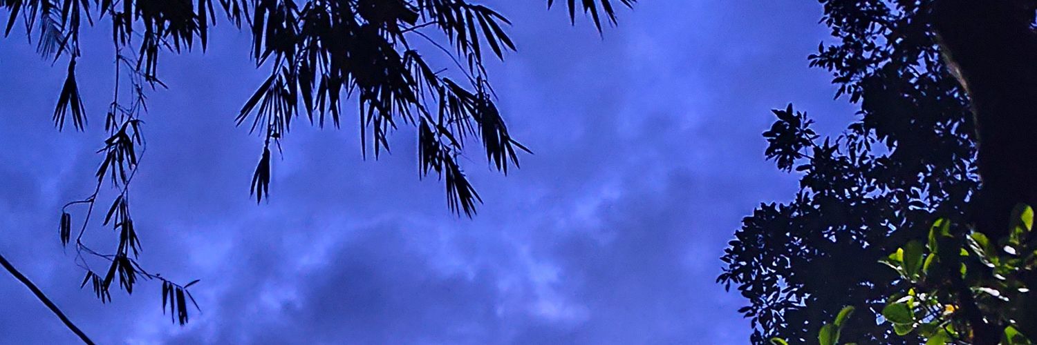 na_fatto's profile banner image