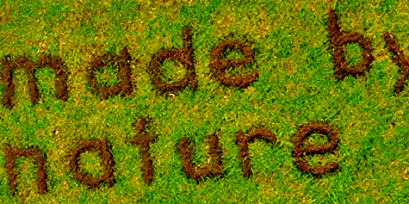 Chocrawlate's profile banner image