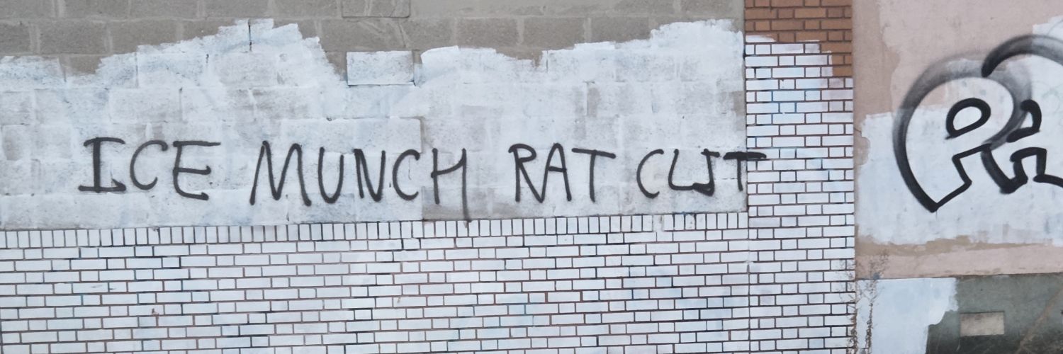 William Washington banner