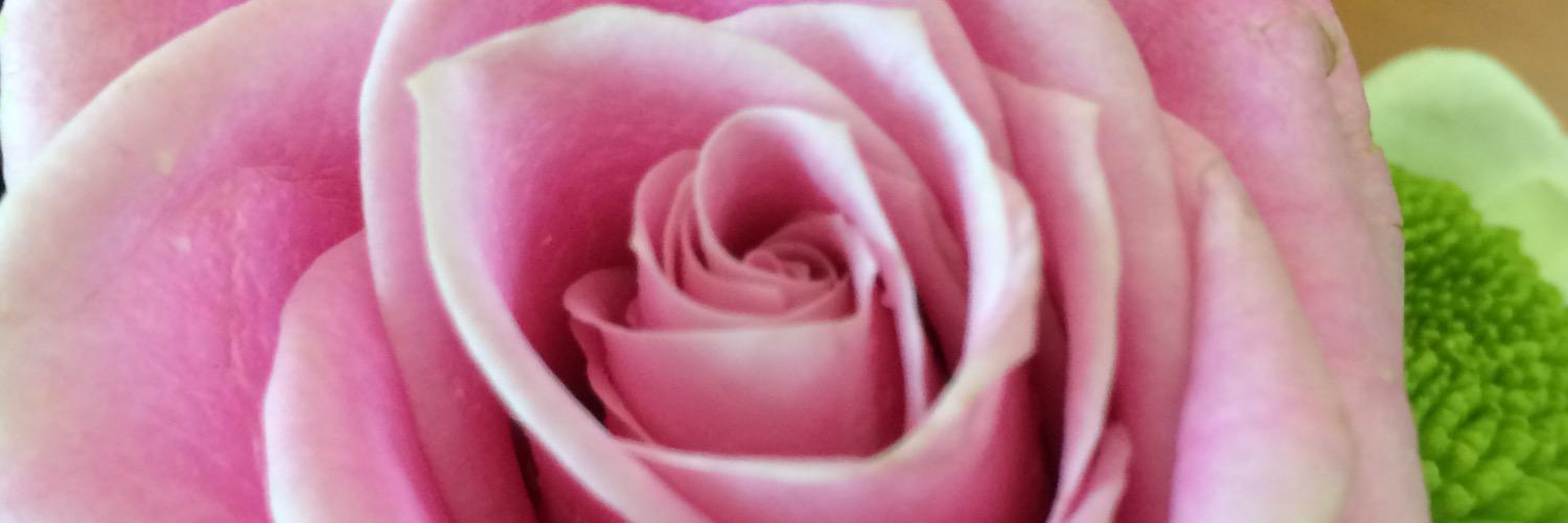 shatha_73's profile banner image