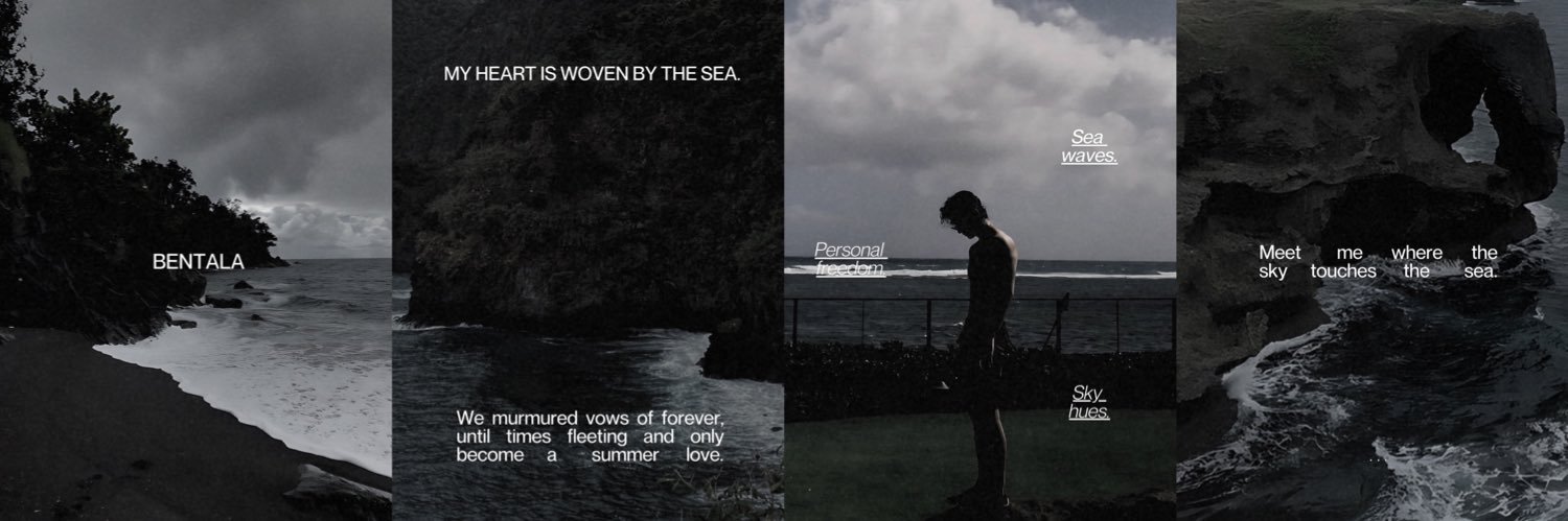 The Shore on Your Palms. banner