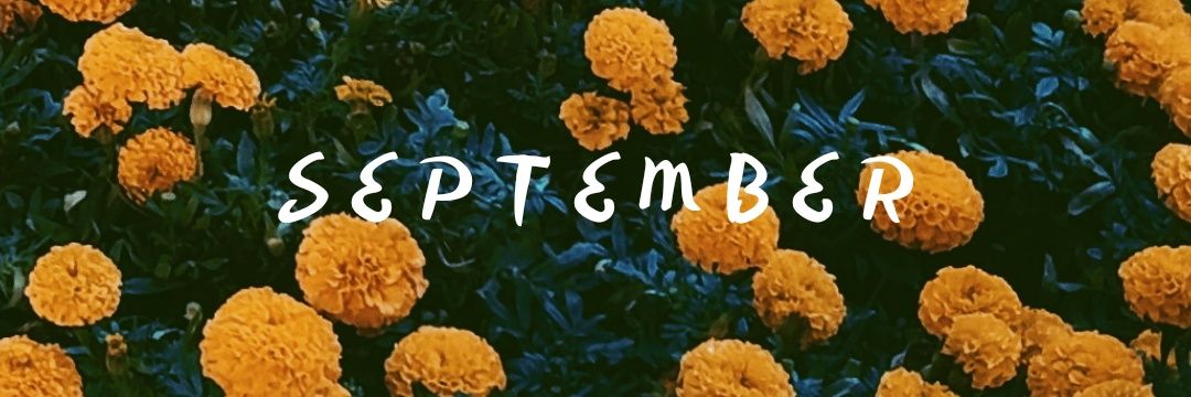 _farhn_'s profile banner image