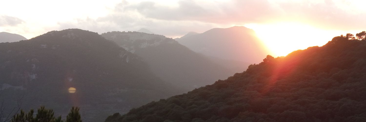 elcala88's profile banner image