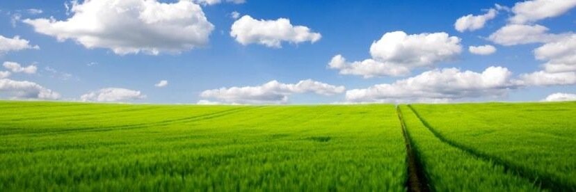 DrAnitaPhillips's profile banner image