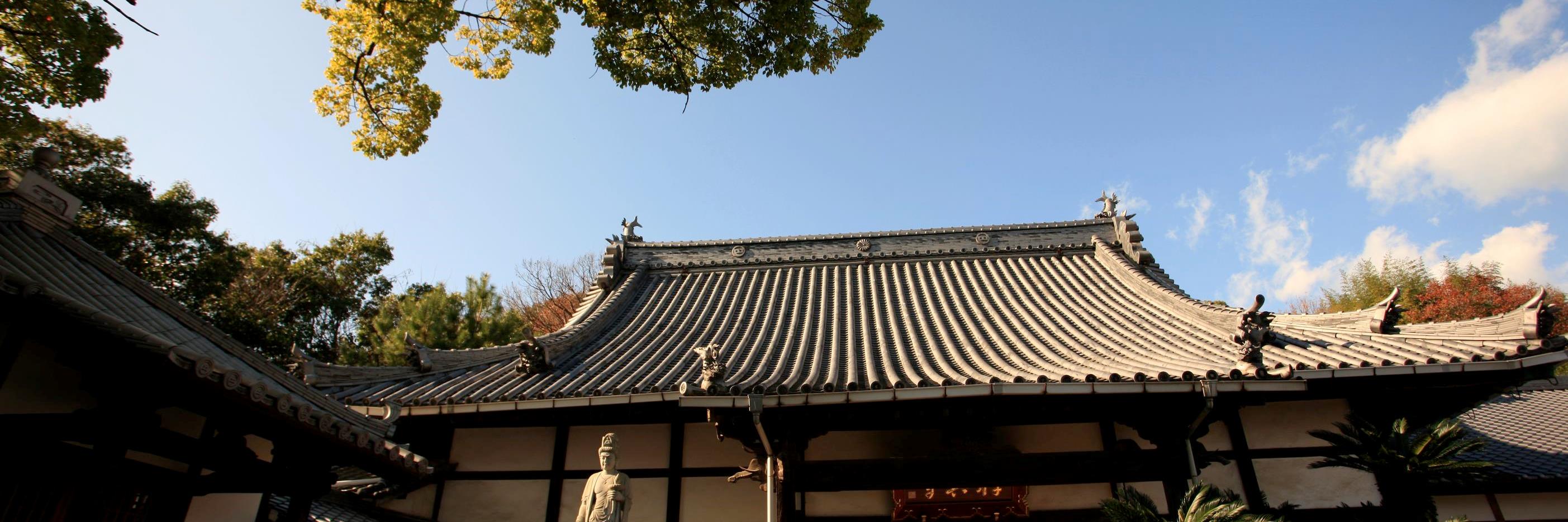 zenkou_abe's profile banner image