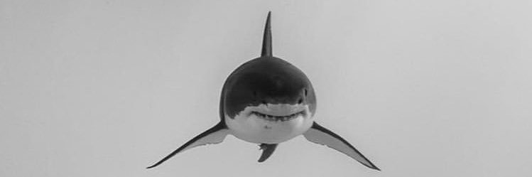 webastaire's profile banner image