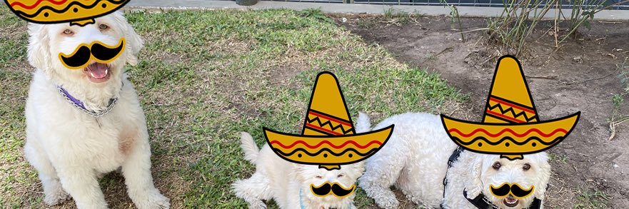 Fernando Del Río banner