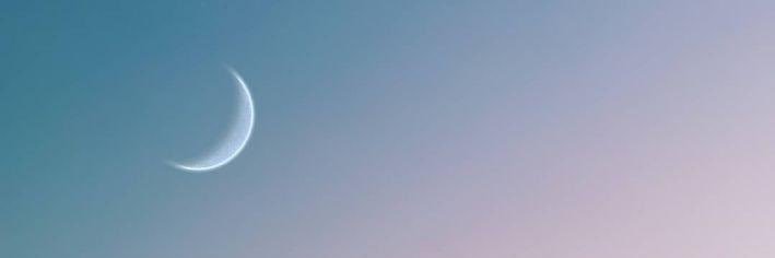 Ssara7261's profile banner image