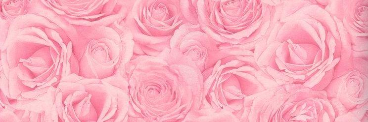 MzStephieMarie's profile banner image