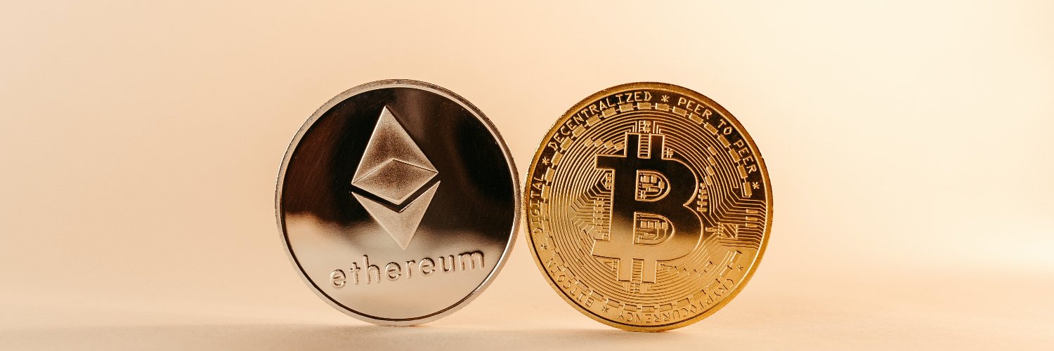 decryptosector's profile banner image