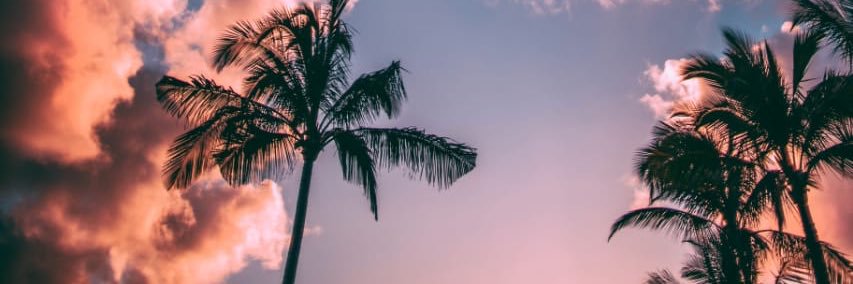 cxyetano's profile banner image