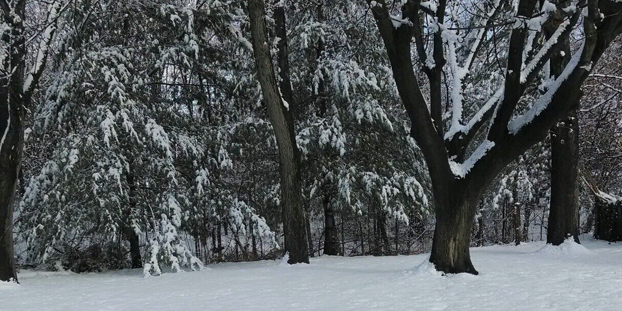stef2643's profile banner image