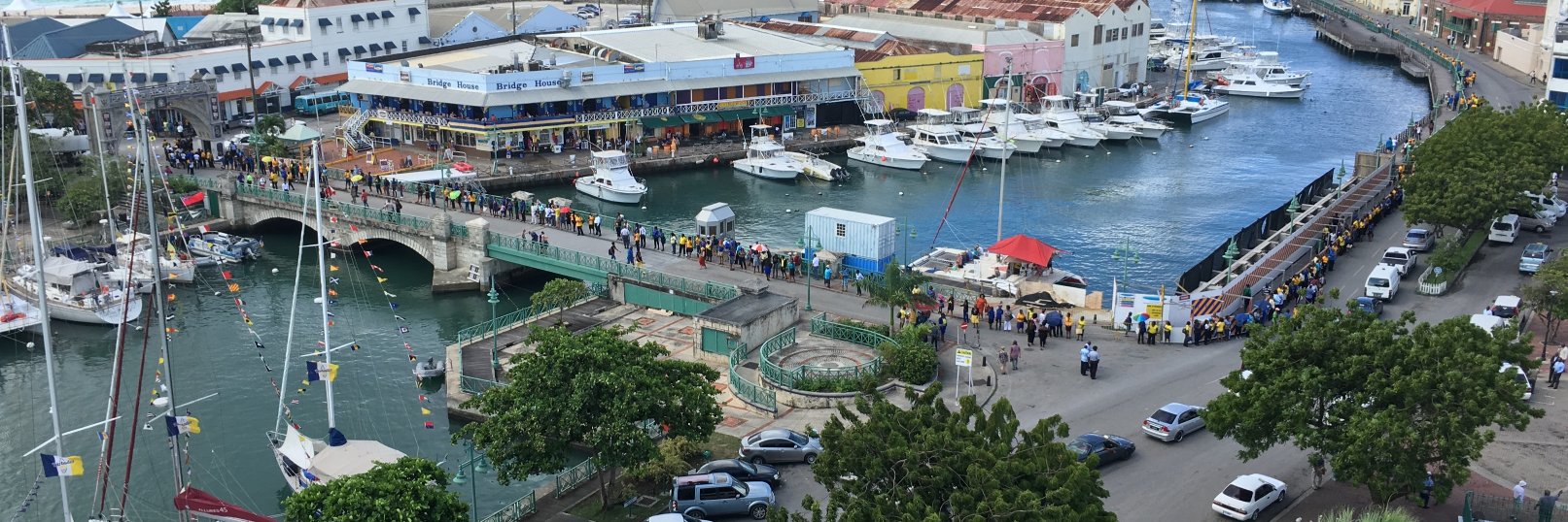 Susan Belgrave banner