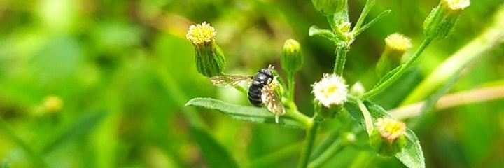 boyan_tea's profile banner image