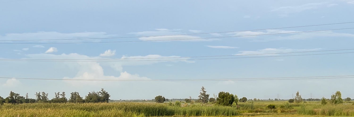 LelBew's profile banner image