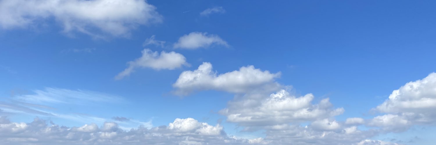 Tilly banner