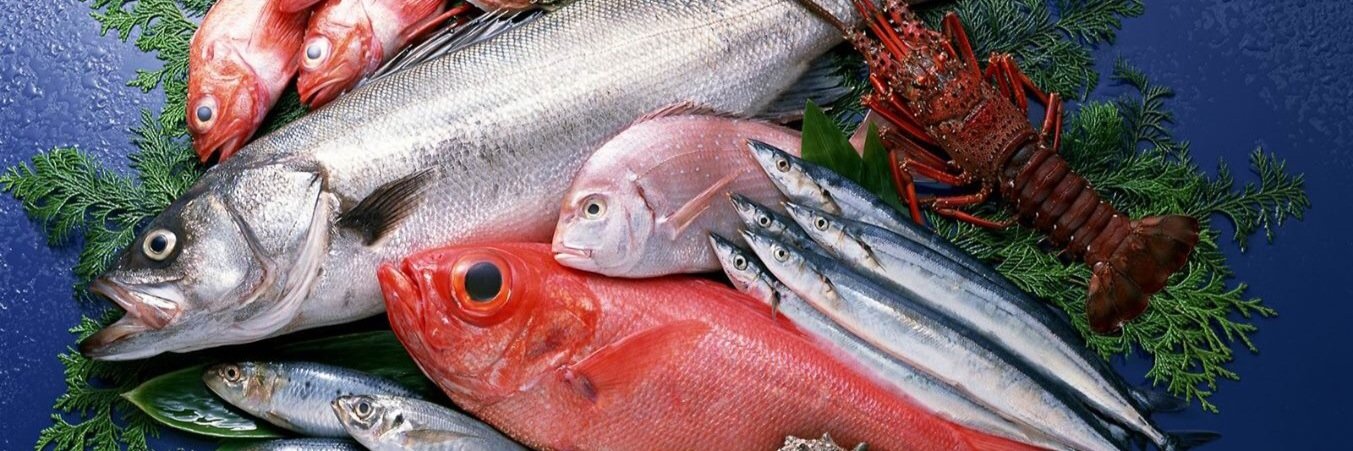 King Neptune'sFishCo banner