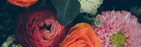 pamasitash's profile banner image