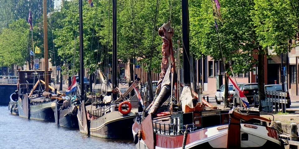 MuseumhavenLwd banner
