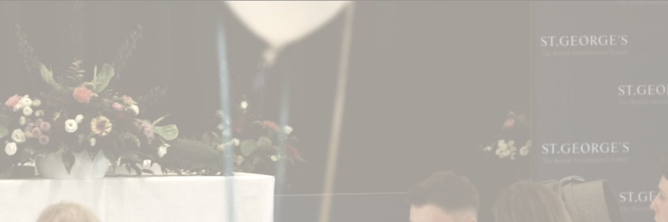 Dan Rosen banner