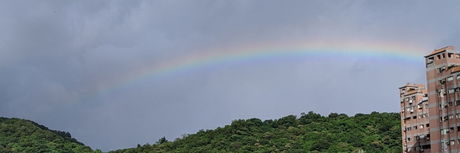 †郁雲(いくも)† 海外一味🏴‍☠ banner