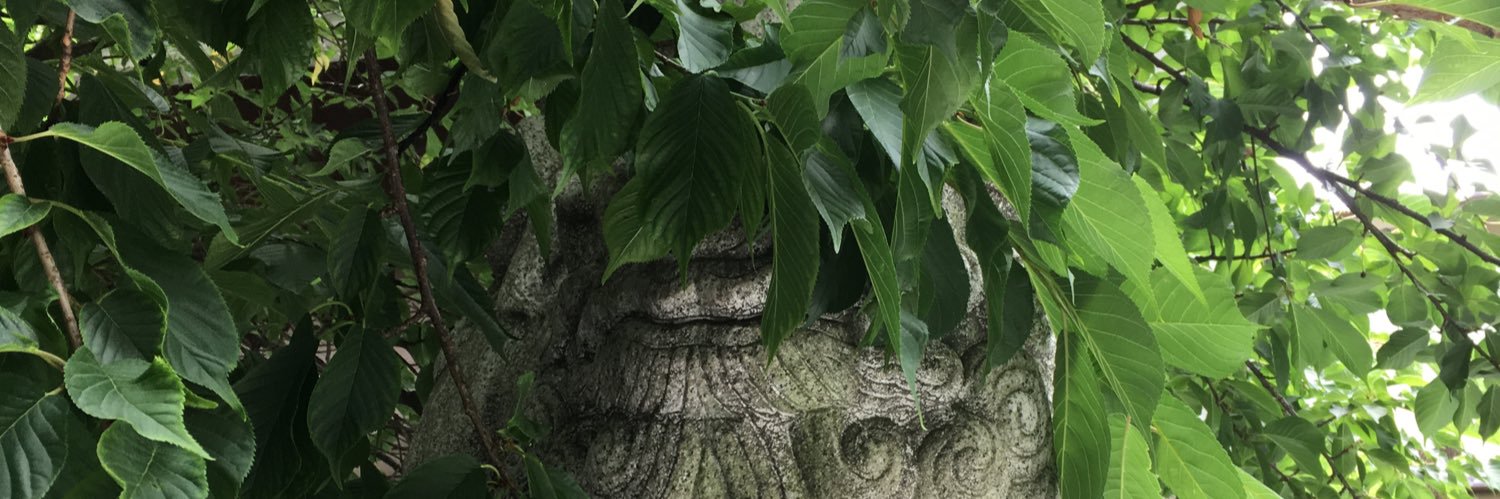slgin's profile banner image