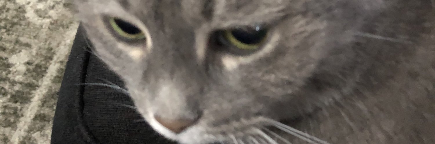 AlyManeval's profile banner image