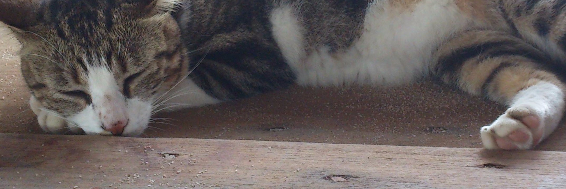 Defiant Drift banner