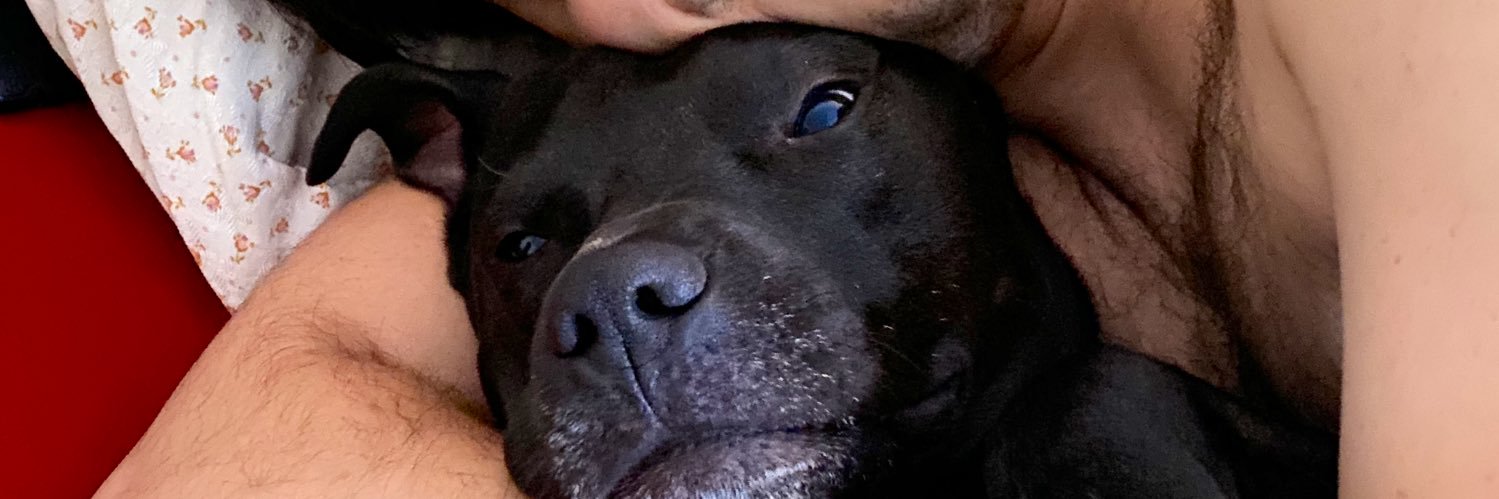 WhoopsOk's profile banner image