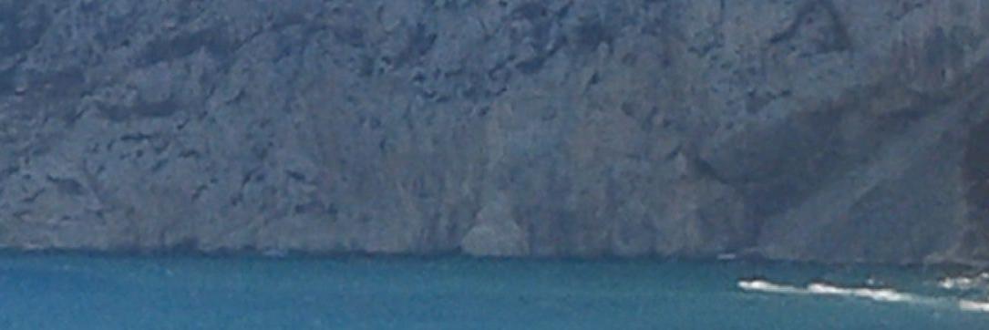 alfonso alonso banner