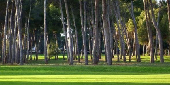 RC Golf Manises banner