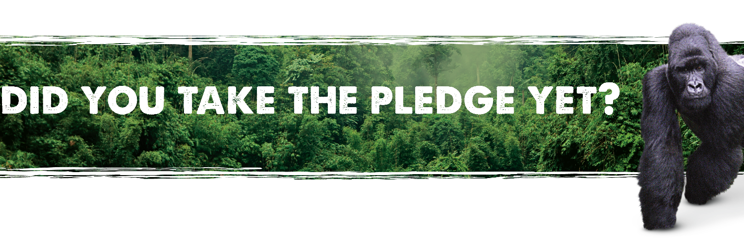 GorillaFriendly's profile banner image