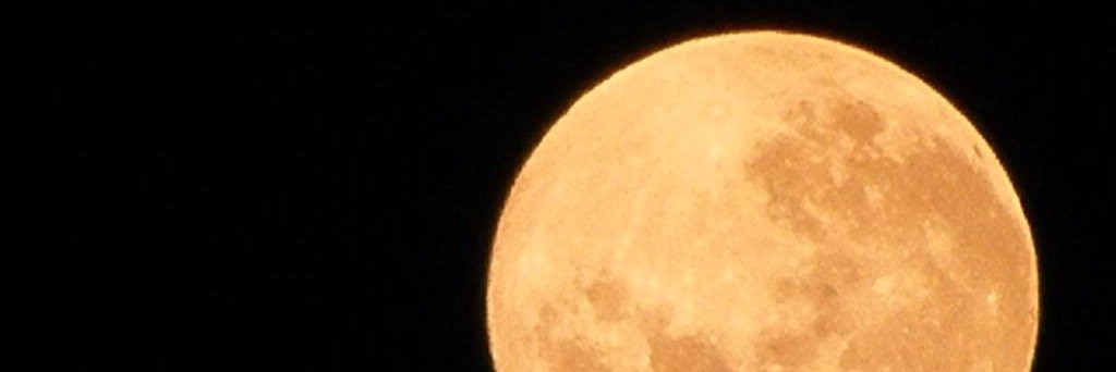 Moniatyka's profile banner image