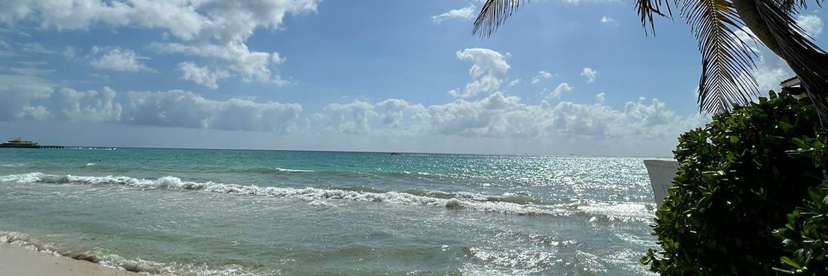 karin2519's profile banner image