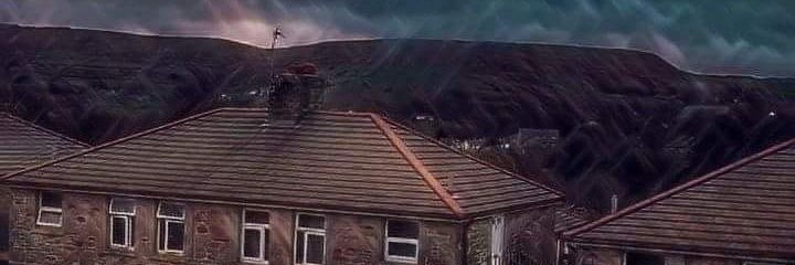 WillTee95's profile banner image