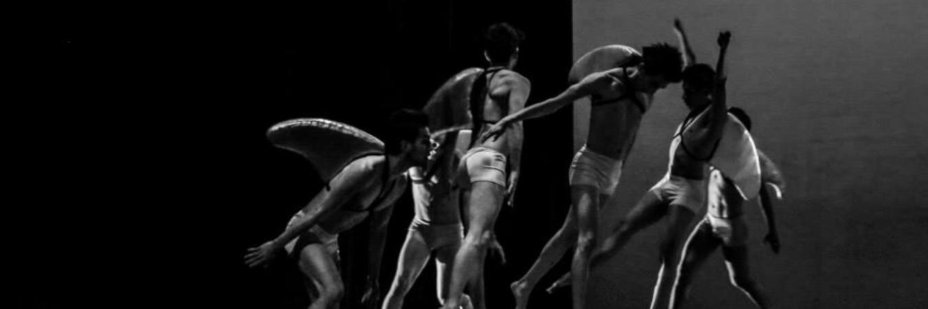 irving_dance's profile banner image